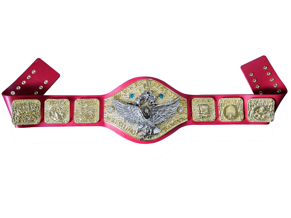 Thumbnail: Gold with Silver Eagle Backlund Belt