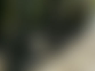 «Somos la verdadera resistencia armada de las Farc»