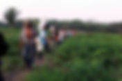 La restitución de tierras no avanza