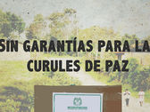 Las Circunscripciones de Víctimas a pocos días de las elecciones