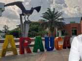 La crisis de los chupamedias en Arauca