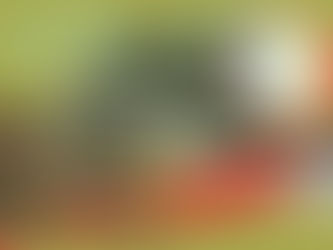 La tragedia del Cauca, un escenario de reconfiguración armada