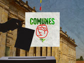 Partido Comunes: el desafío de conservar la personería jurídica