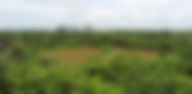 La tragedia ambiental en la Amazonía