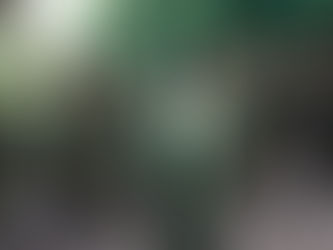 El evento más importante de las FARC