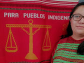 “Luchamos por poder decidir dentro de nuestros territorios”: Jovita Tzul