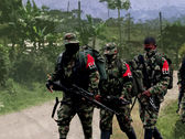 Paro armado del ELN: una realidad más allá de Diego Molano