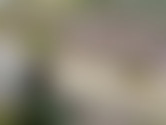 «La erradicación forzada traerá más dolor al Catatumbo»