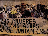 Construimos en medio de la guerra: lideresas del Meta