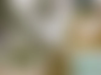 ¿Posibles inhabilitados en Circunscripciones de Víctimas de Catatumbo?