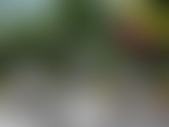 Las curules de paz del Catatumbo están en riesgo de ser cooptadas