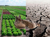 ¿Qué está pasando con los subsidios de Finagro?