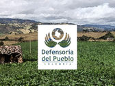 La Defensoría suspende comisiones en terreno en víspera de elecciones