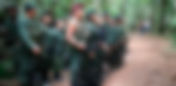 La unión de desarme y participación política de las FARC