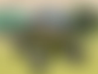 Profesores amenazados, otra alerta roja en Ituango