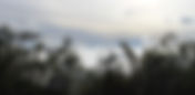La paz con la naturaleza está en deuda