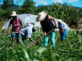 El campo será clave para la reactivación del país