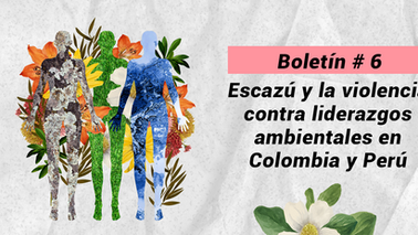 Boletín # 6 - Escazú y la violencia contra liderazgos ambientales en Colombia y Perú