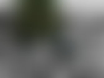 El fantasma de la Operación Orión ronda a Cali