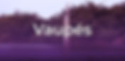 Diálogo Regional Vinculante: Vaupés 