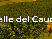 Diálogo Regional Vinculante: Valle del Cauca
