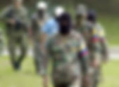‘Las Farc no están divididas’