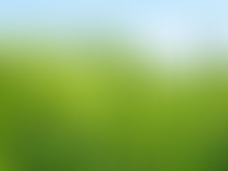 Los biocombustibles ¿Una solución a la importación de gas?