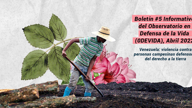 Boletín #5 Venezuela: violencia contra personas campesinas defensoras del derecho a la tierra