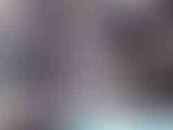 WhatsApp Image 2025-02-08 at 14.18.38_78f4315e