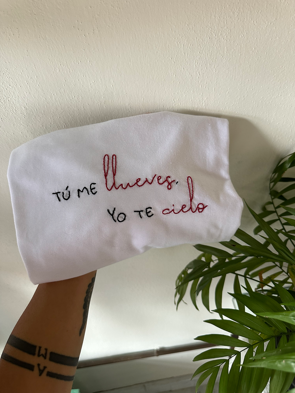 Embroidery organic cotto tshirt