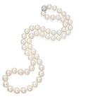 pearlz.jpeg