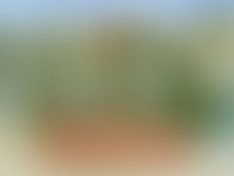 2025-2026 Classes  Showcase & MORE