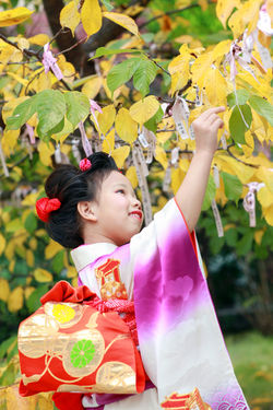 世田谷　桜神宮にて７５３出張撮影