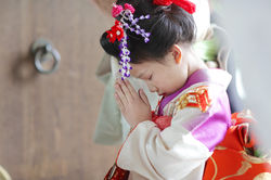 明治神宮にて７５３出張撮影