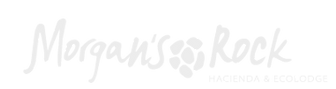Morgan's Rock Logo_edited_edited_edited_
