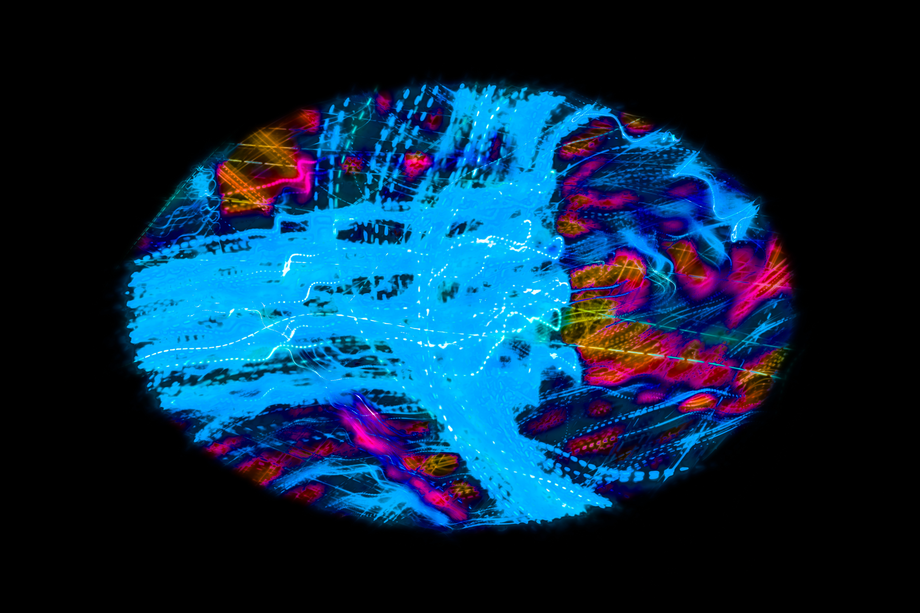 Vignette Landscape - Digital