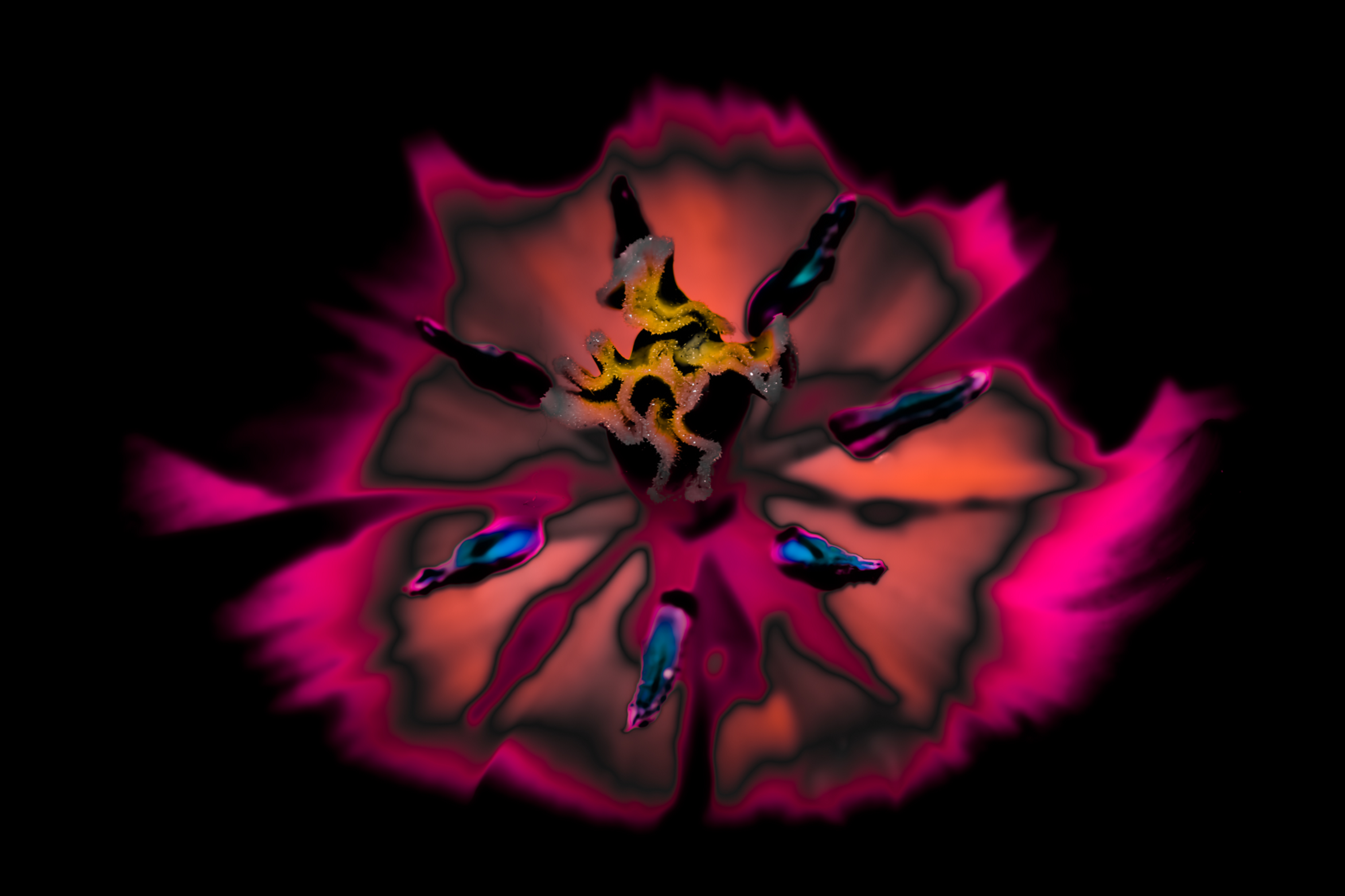 Psychedelicscapes - Digital