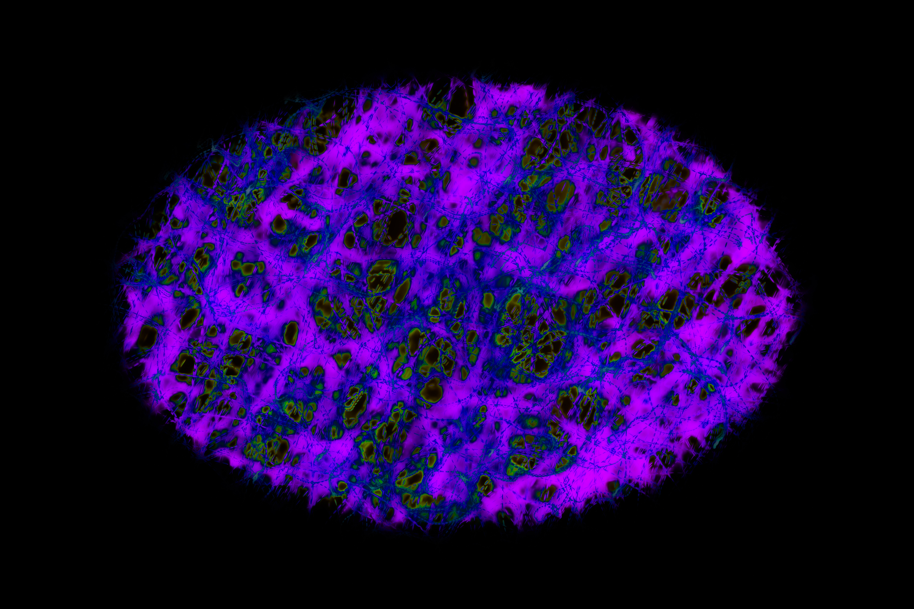 Vignette Landscape - Digital