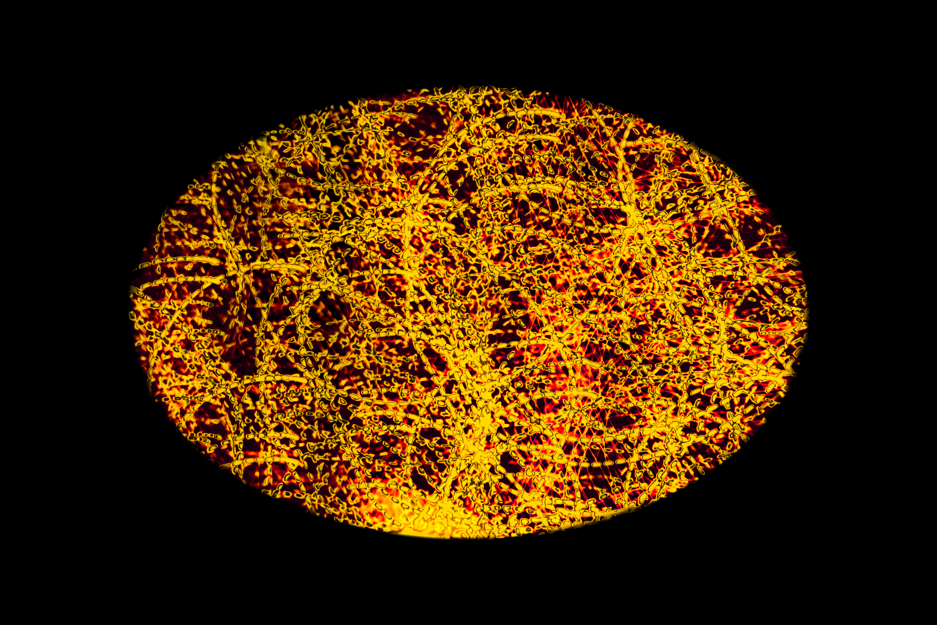 Vignette Landscape - Digital