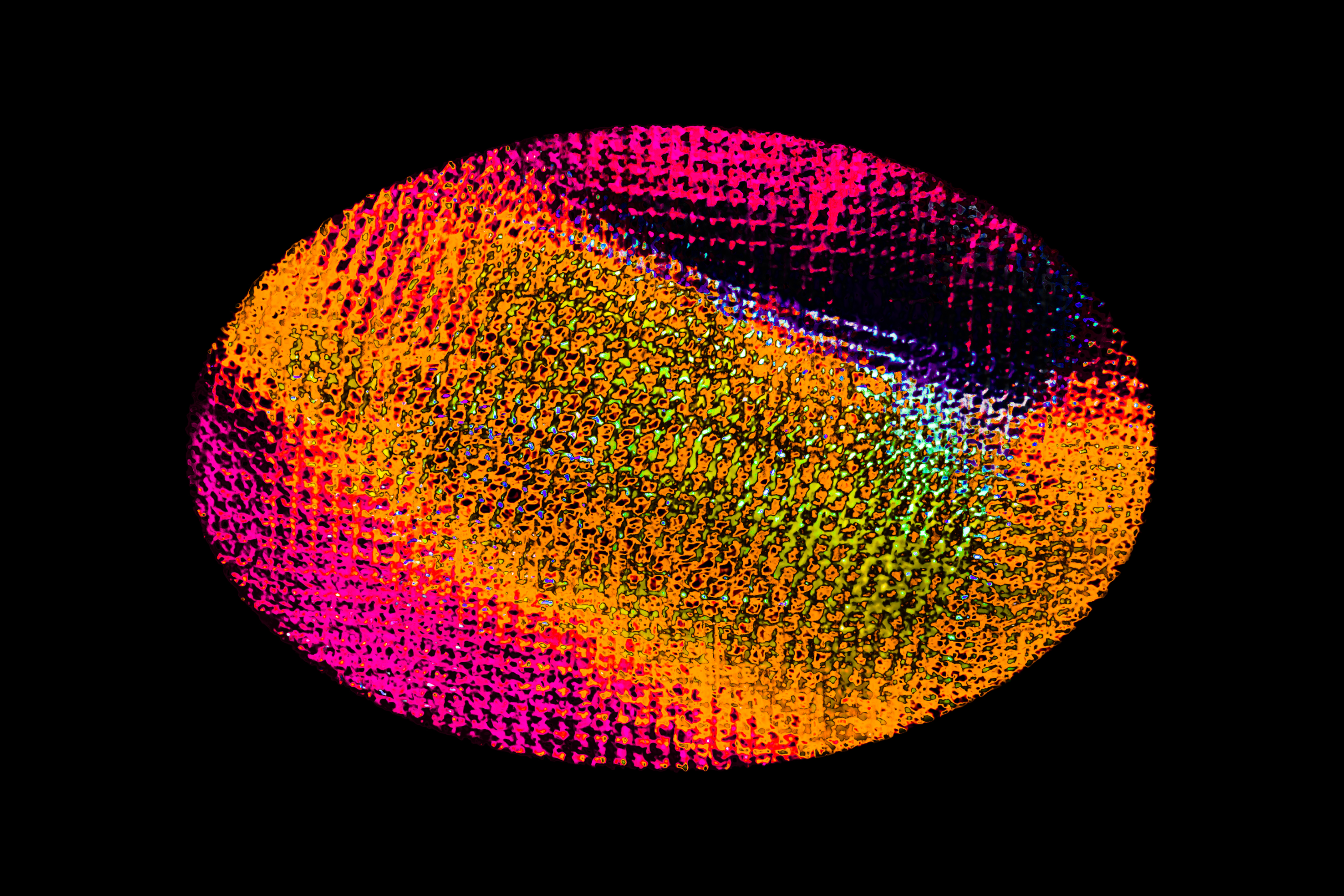 Vignette Landscape - Digital