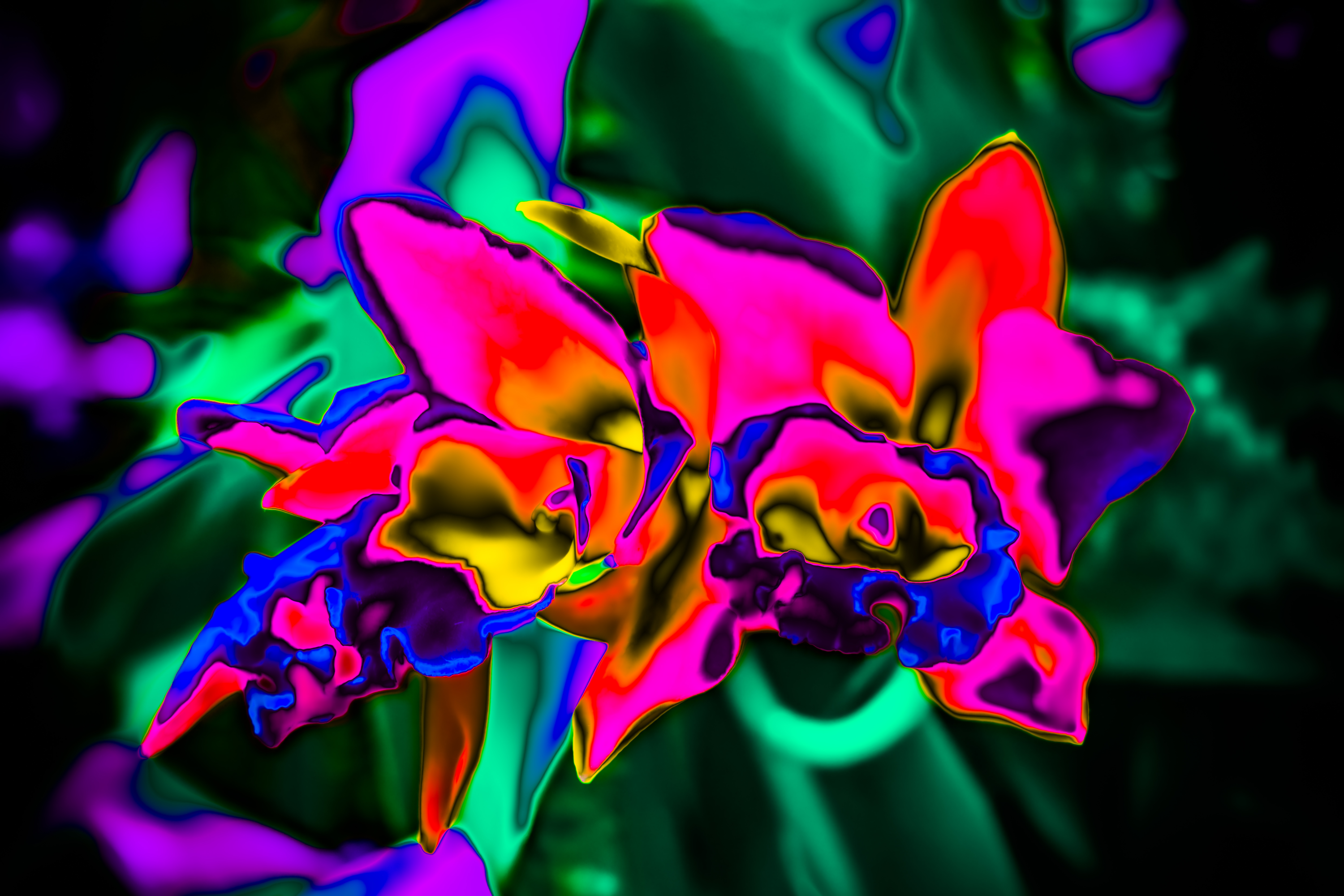 Psychedelicscapes - Digital