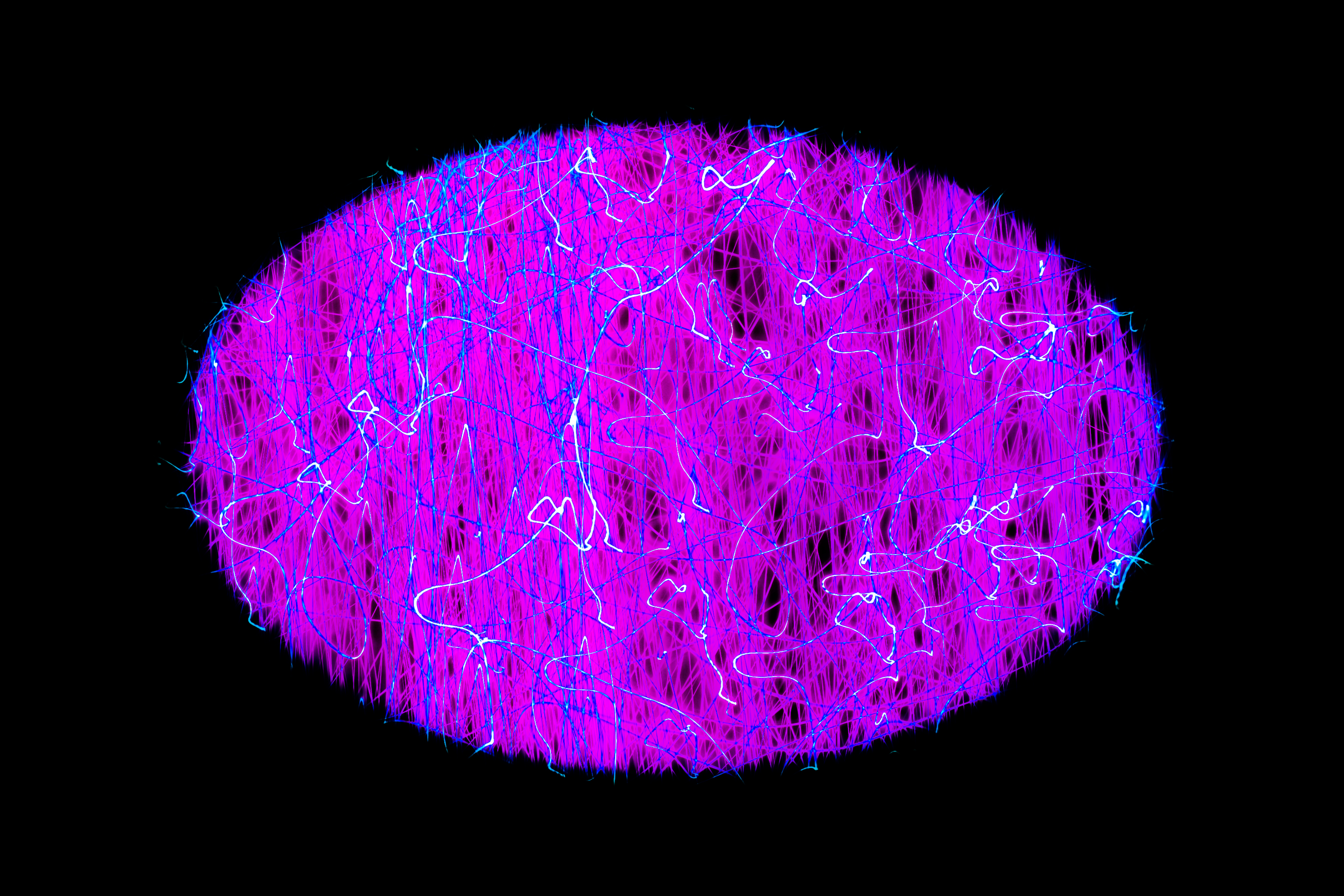 Vignette Landscape - Digital