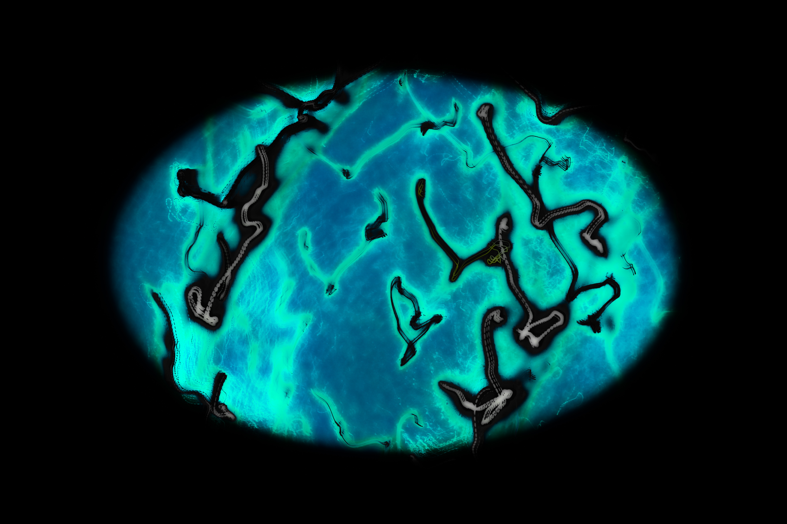 Vignette Landscape - Digital