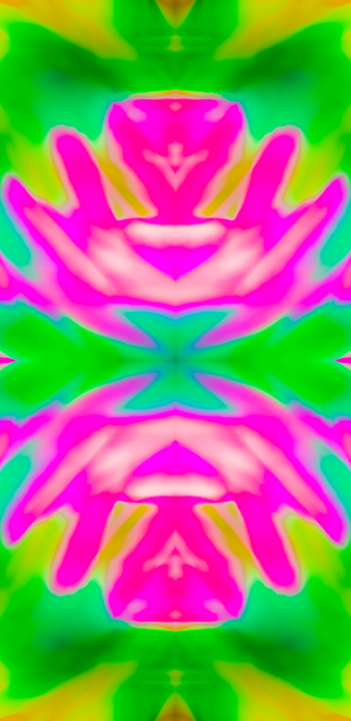 Samsung Galaxy S8 S8+ S9 & S9+