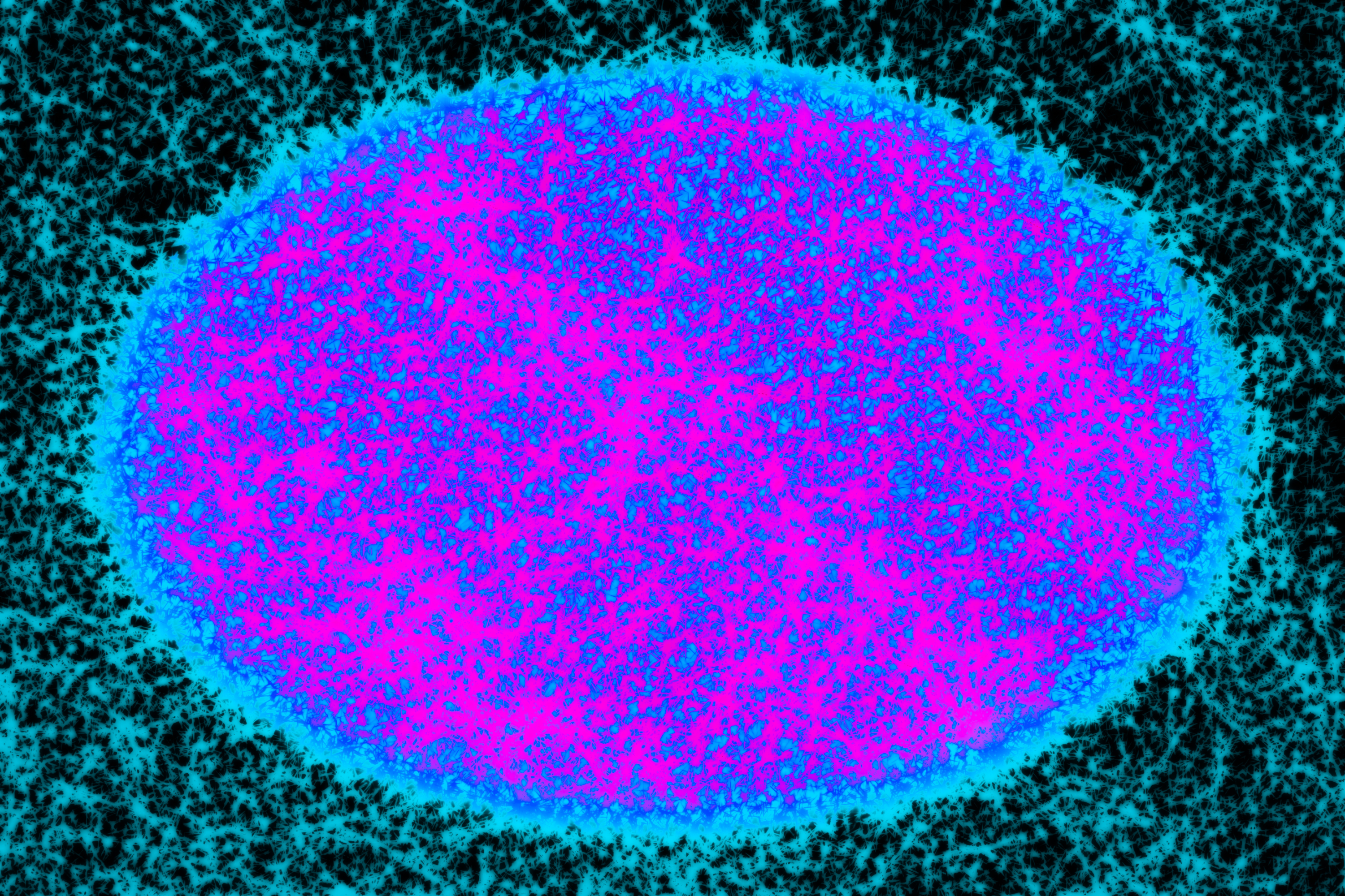 Lightscapes - Digital