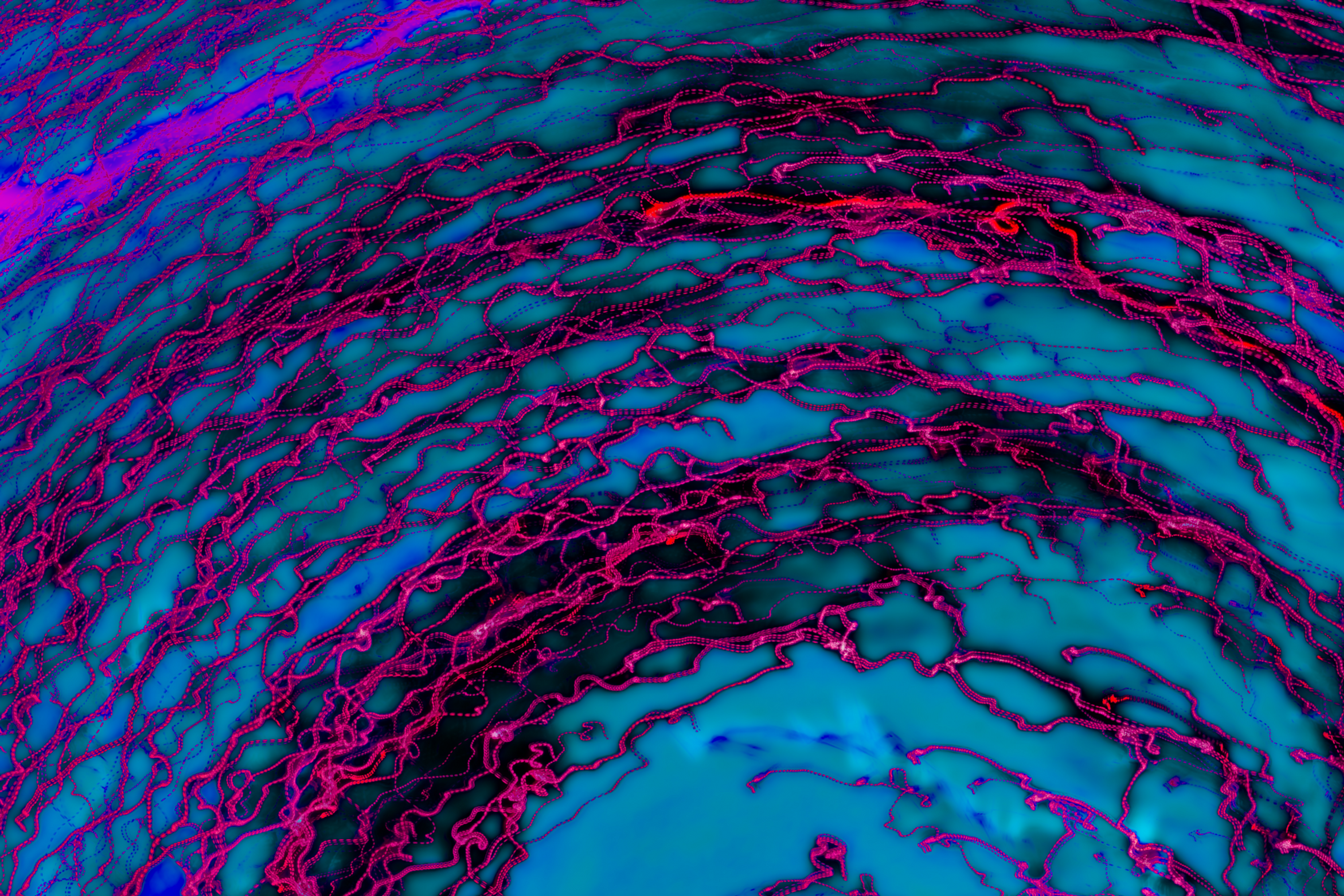 Lightscapes - Digital