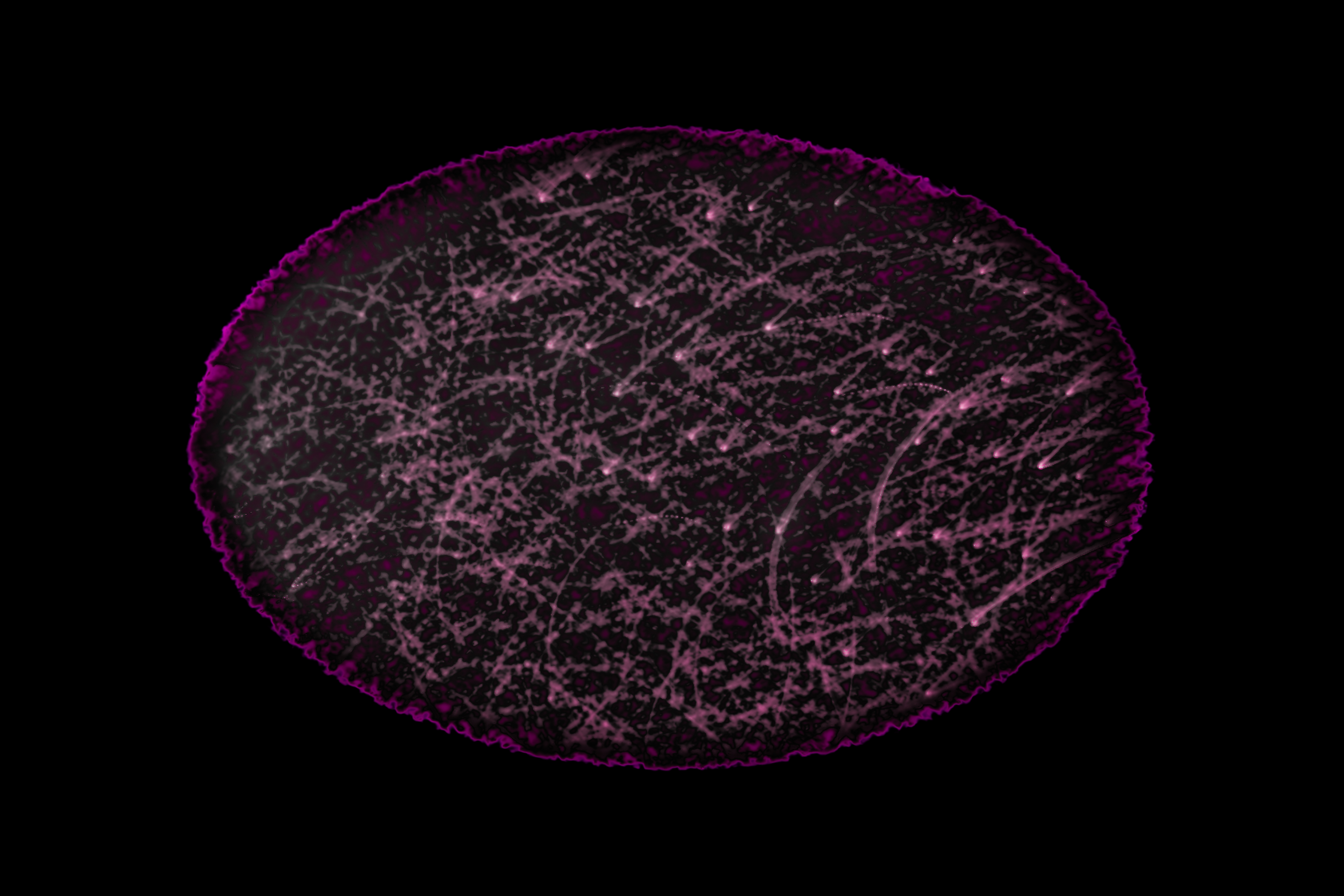 Vignette Landscape - Digital