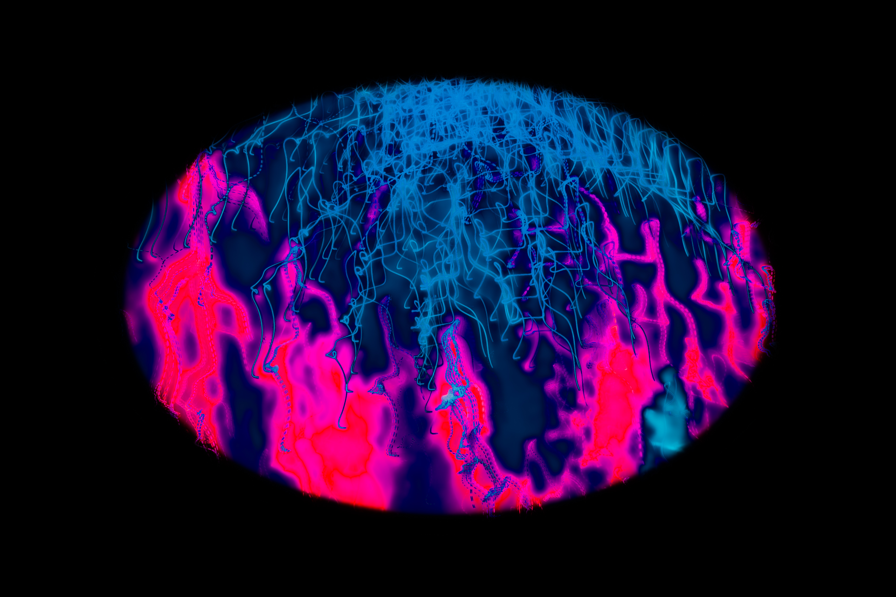 Vignette Landscape - Digital