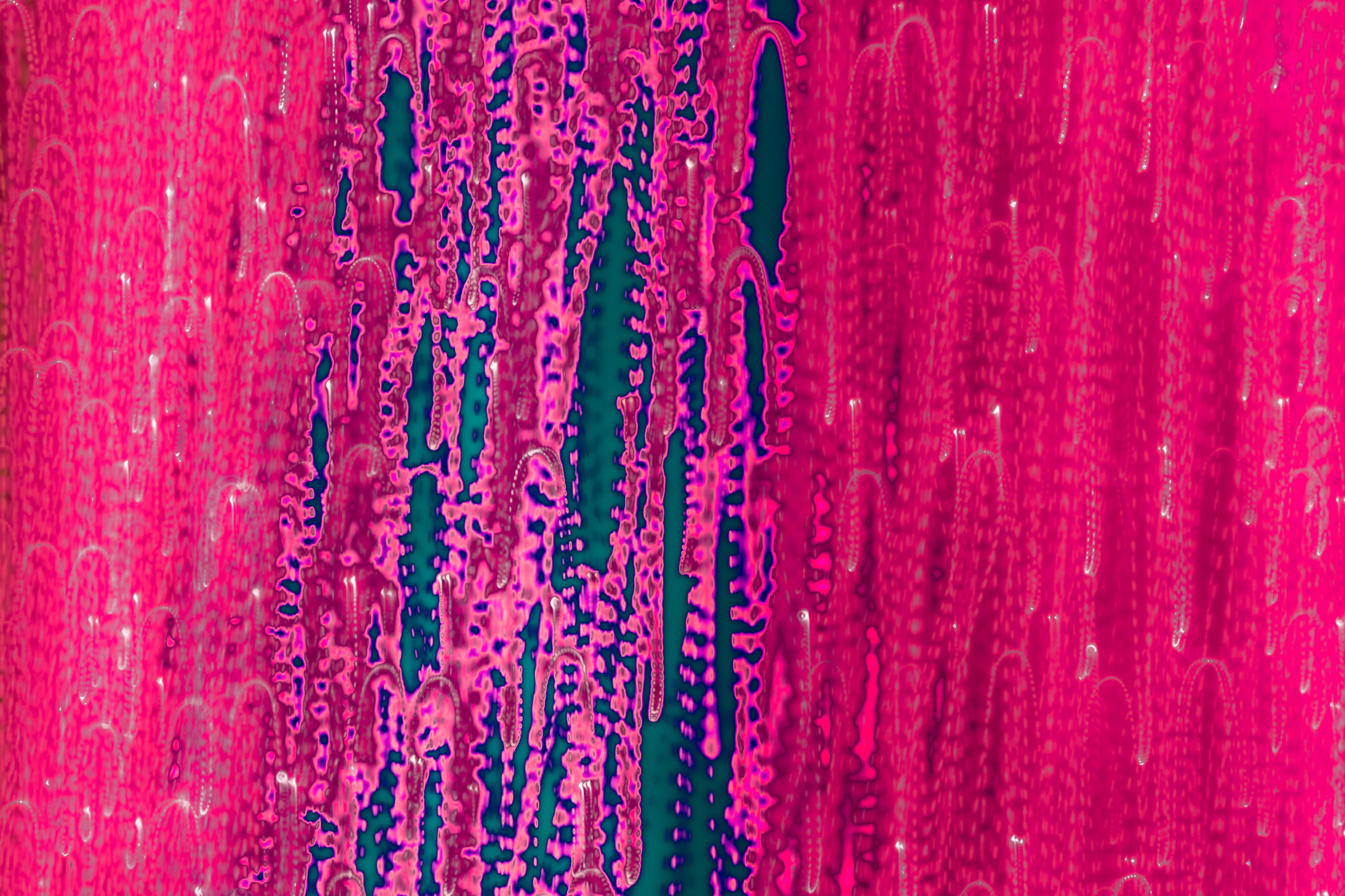 Lightscapes - Digital