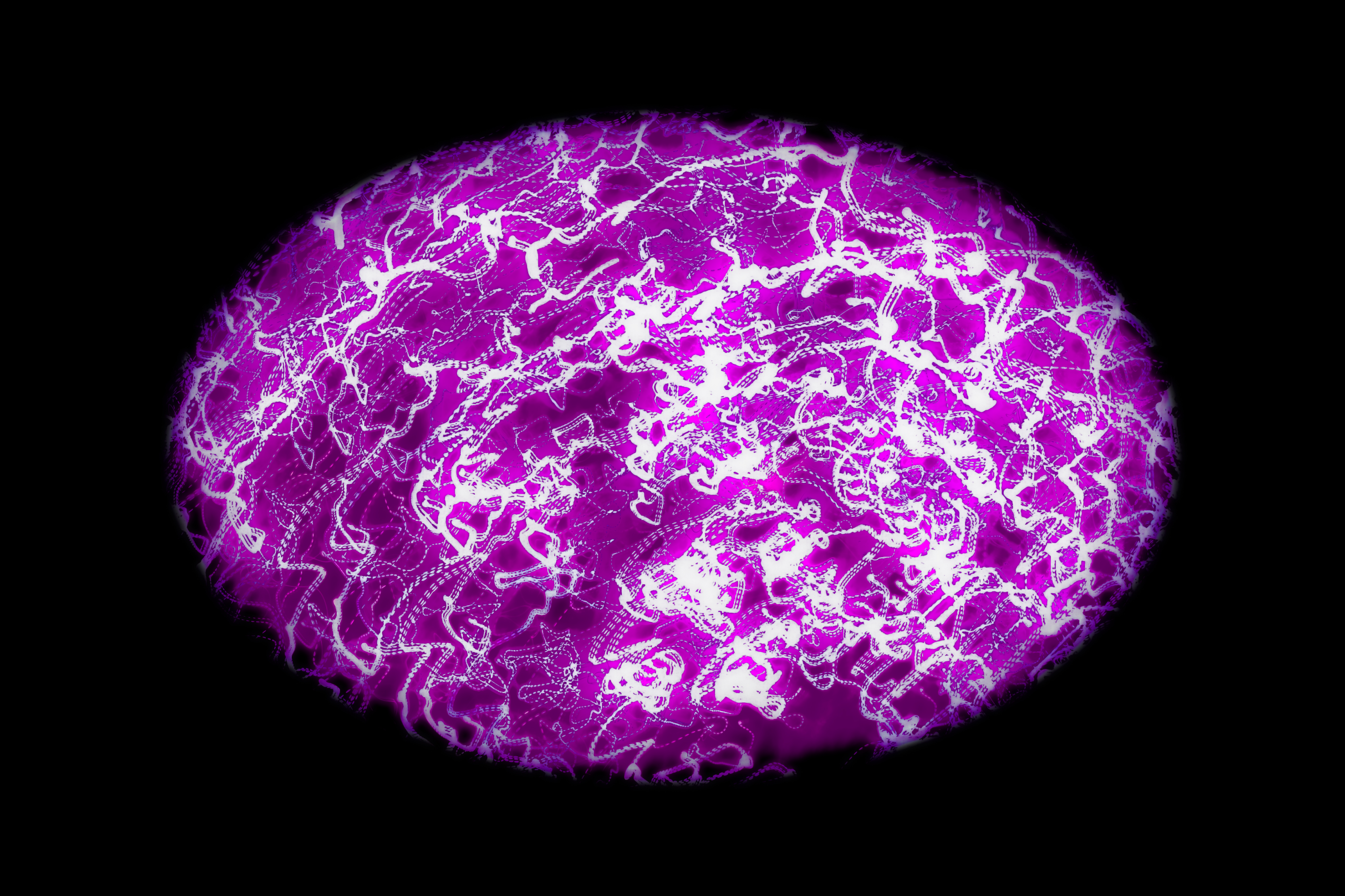 Vignette Landscape - Digital